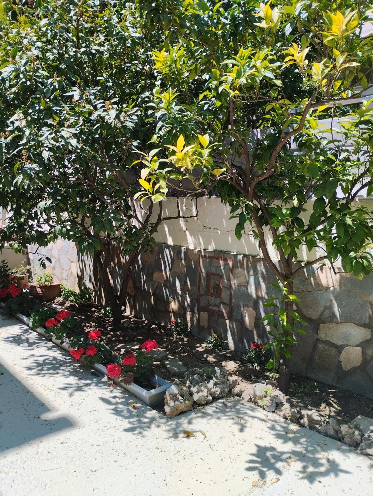 Strati'S Place PalaiónTsiflíkion 외부 사진